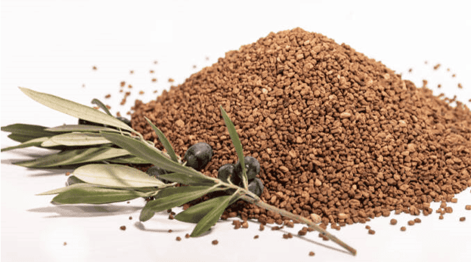 El plan Carbon+ valida el carbón activo a partir de residuos de aceituna para su uso en industria